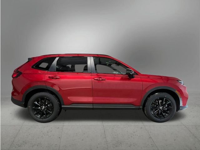 New 2026 Red Honda Sport image 7
