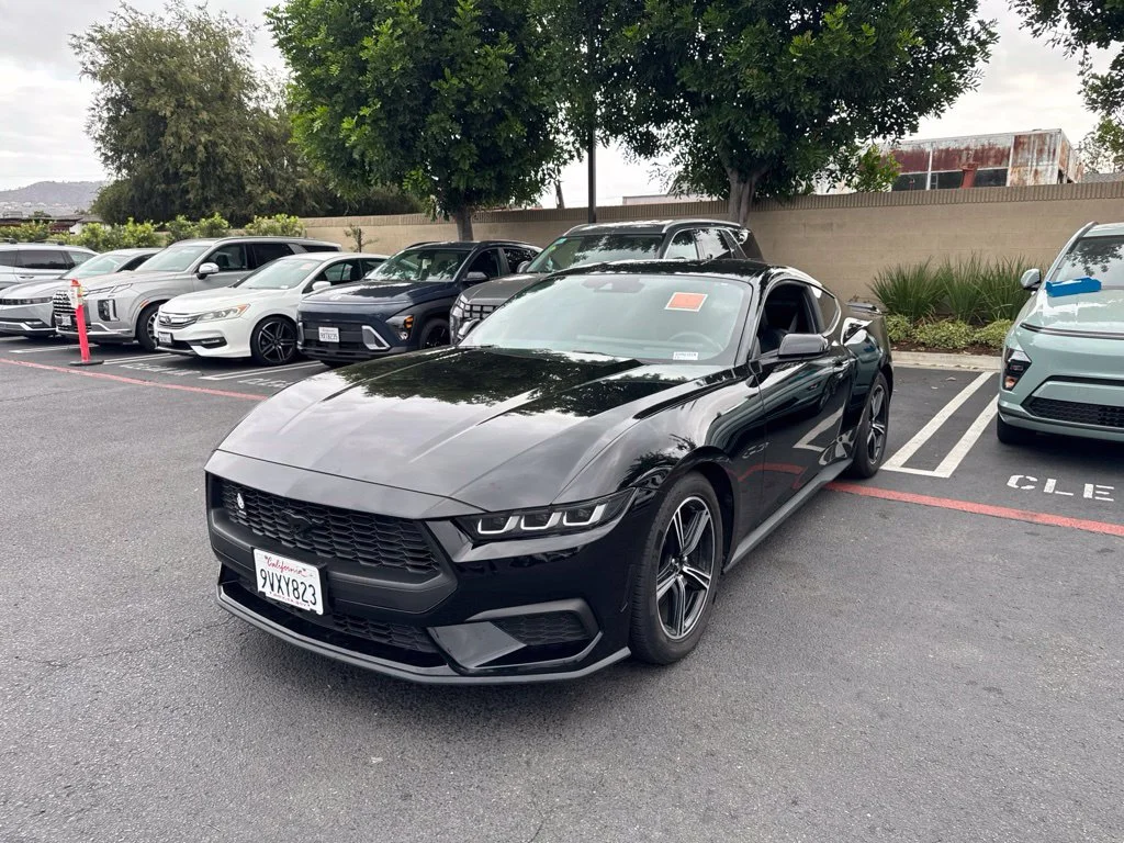 Used 2024 Black Ford EcoBoost Premium image 1