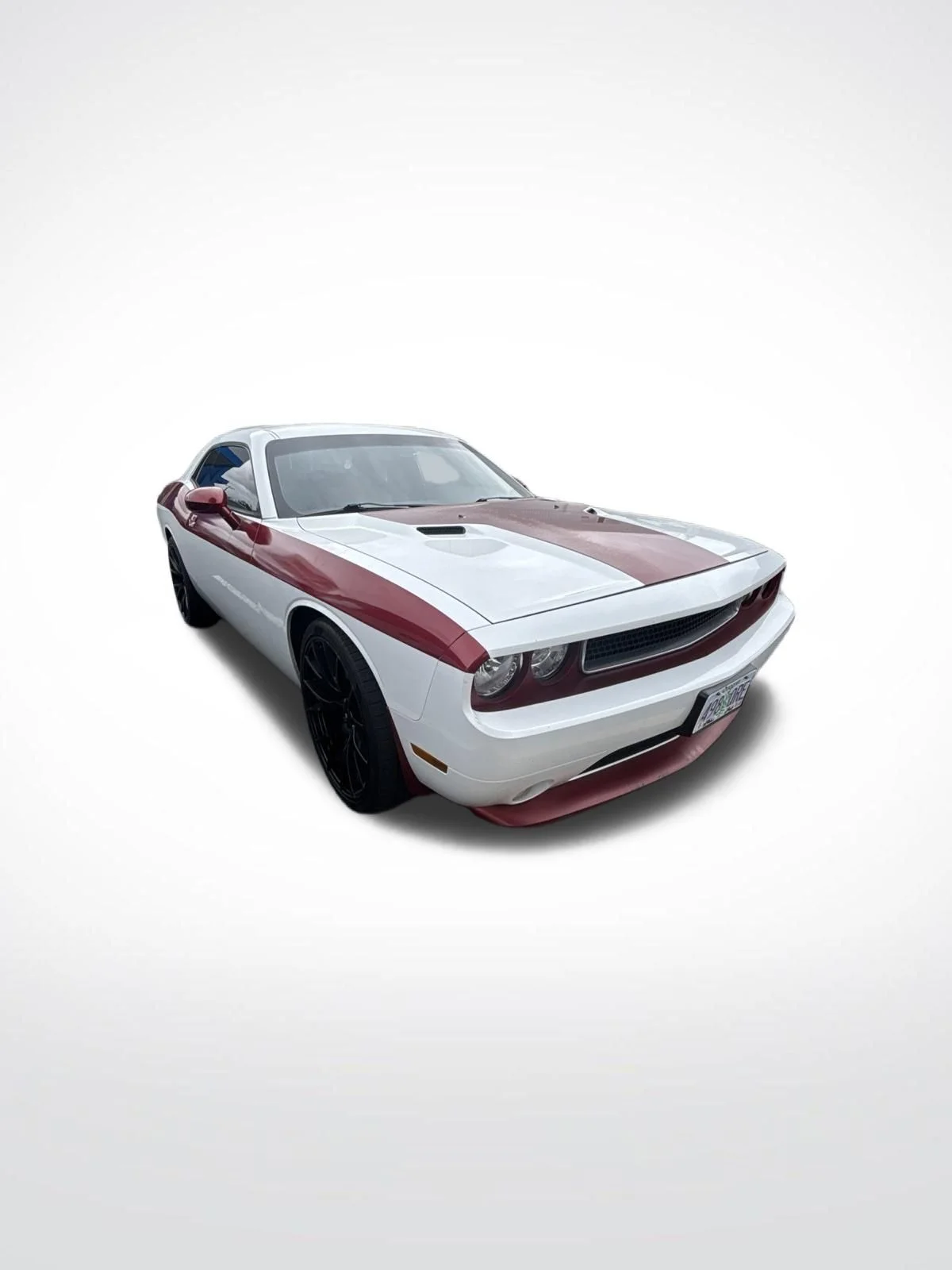Used 2013 Bright White Clearcoat Dodge SXT image 19