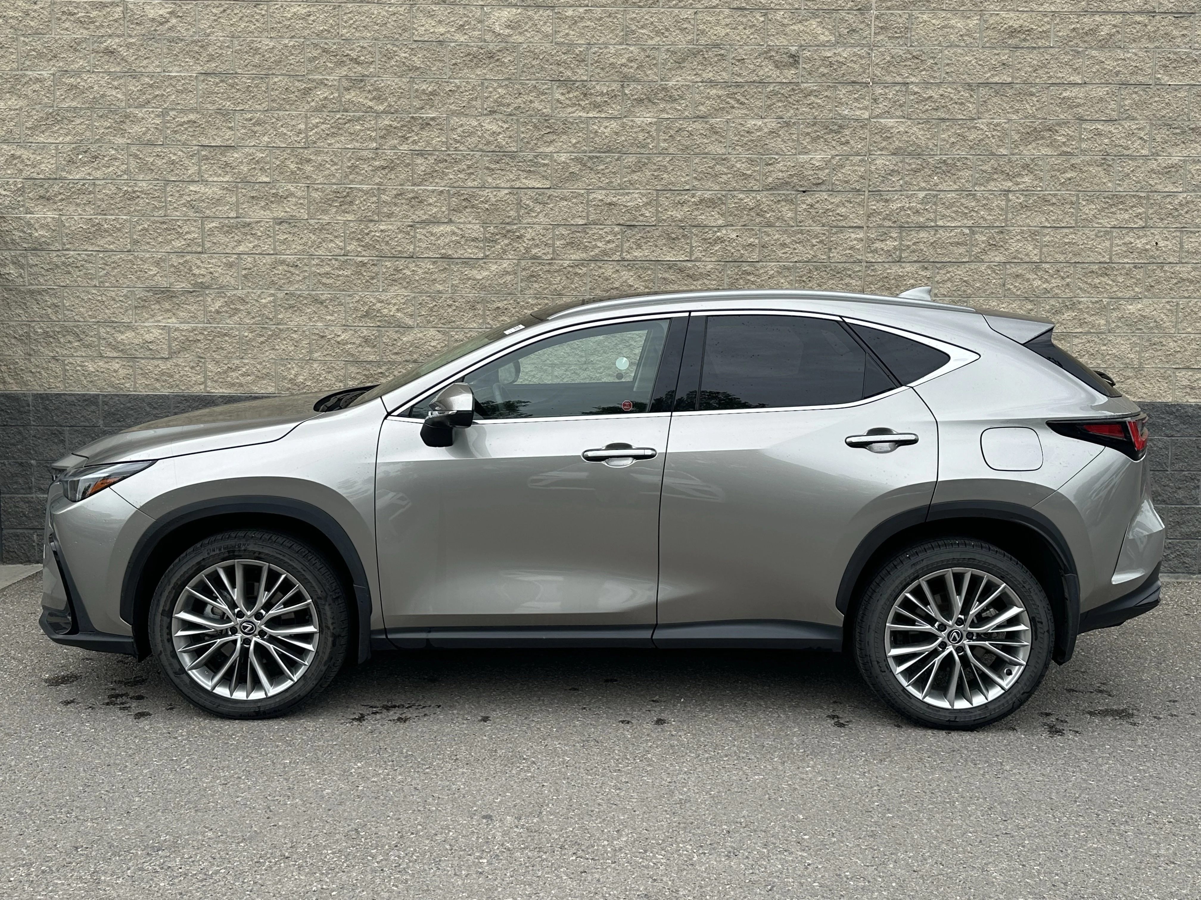 Certified Used 2024  Lexus NX 350 image 3