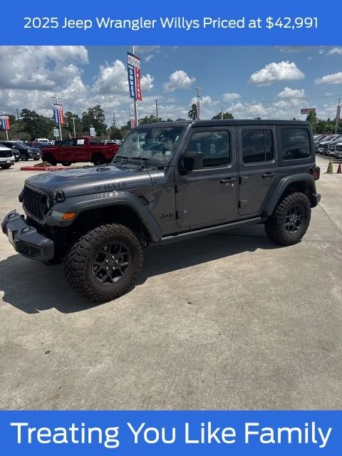 2025 Jeep Wrangler Willys's photo
