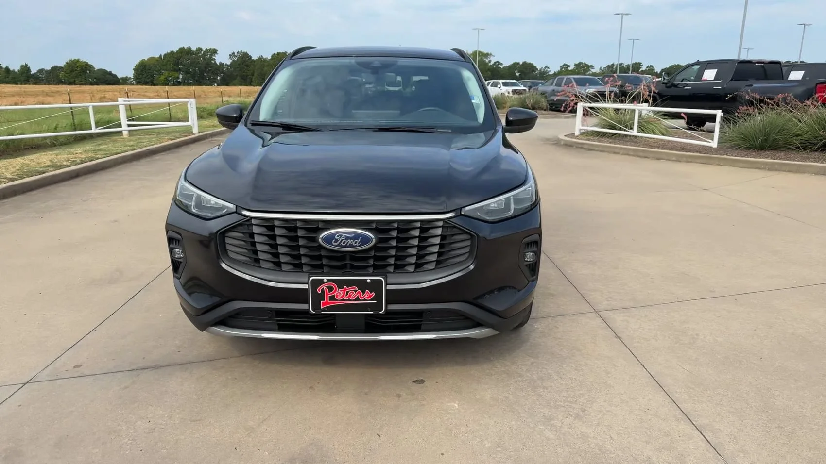 Used 2025 Black Ford Platinum image 4