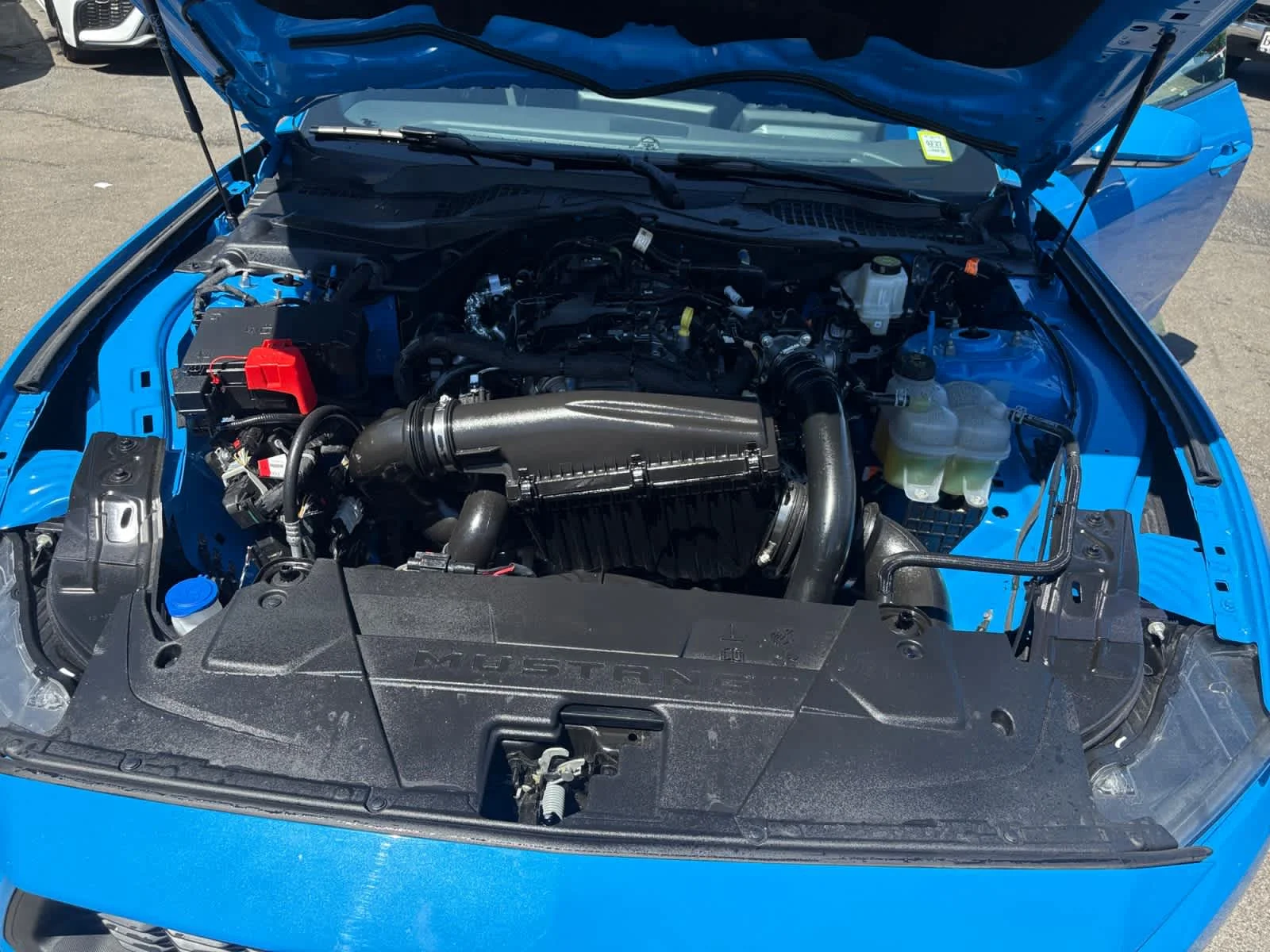Used 2026 Grabber Blue Ford EcoBoost image 25
