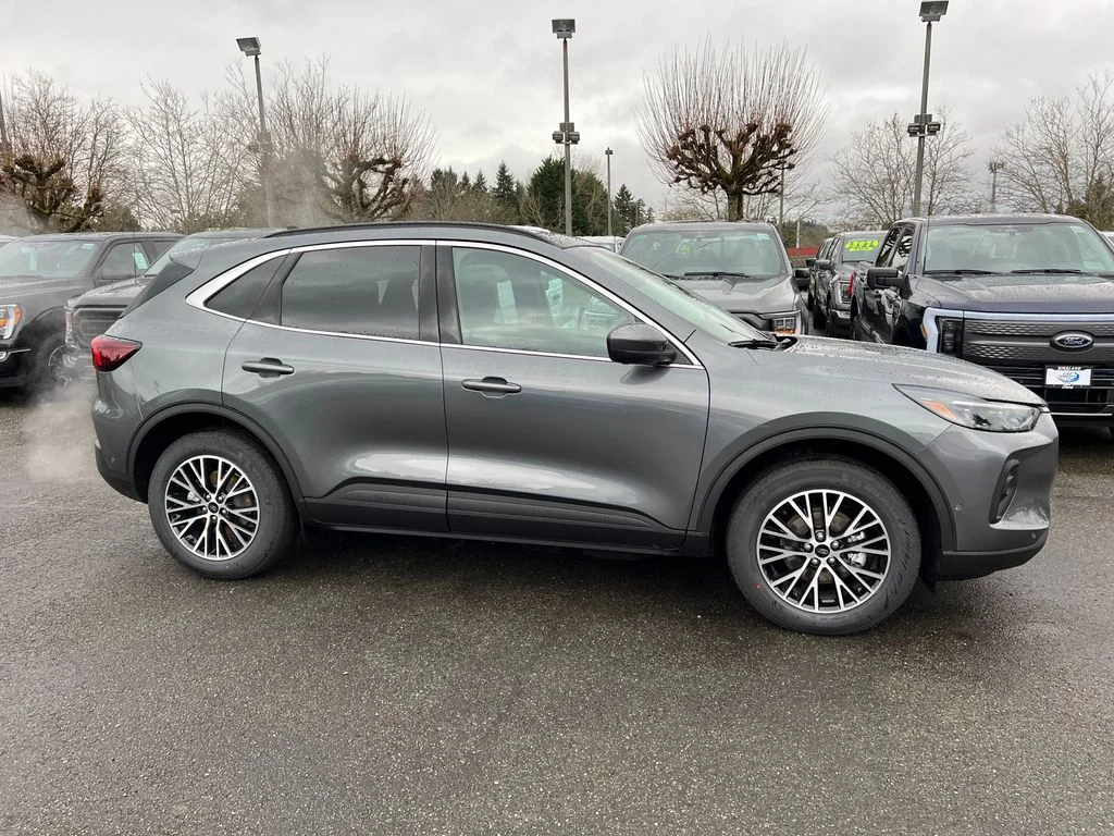 New 2024 Gray Ford Base image 4