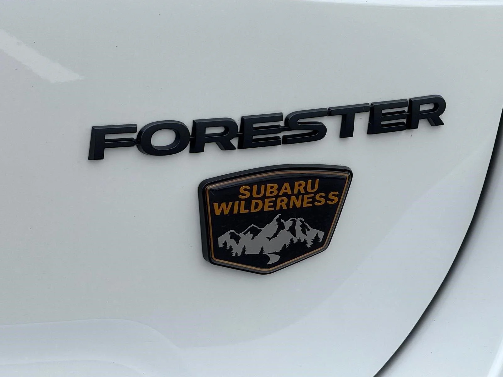 Used 2025 Crystal White Pearl Subaru Wilderness image 10