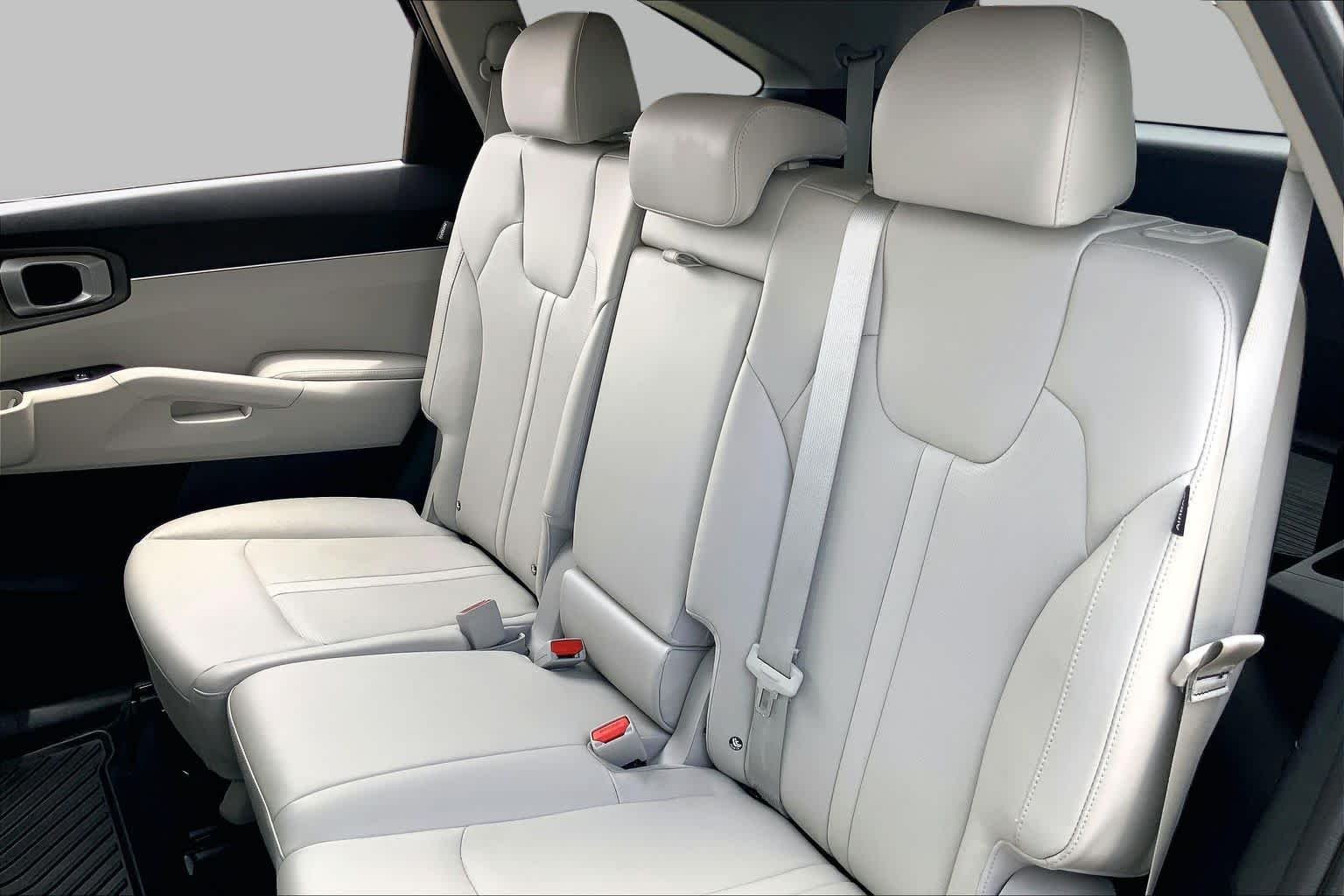 Used 2025 Panthera Metal Kia S image 21