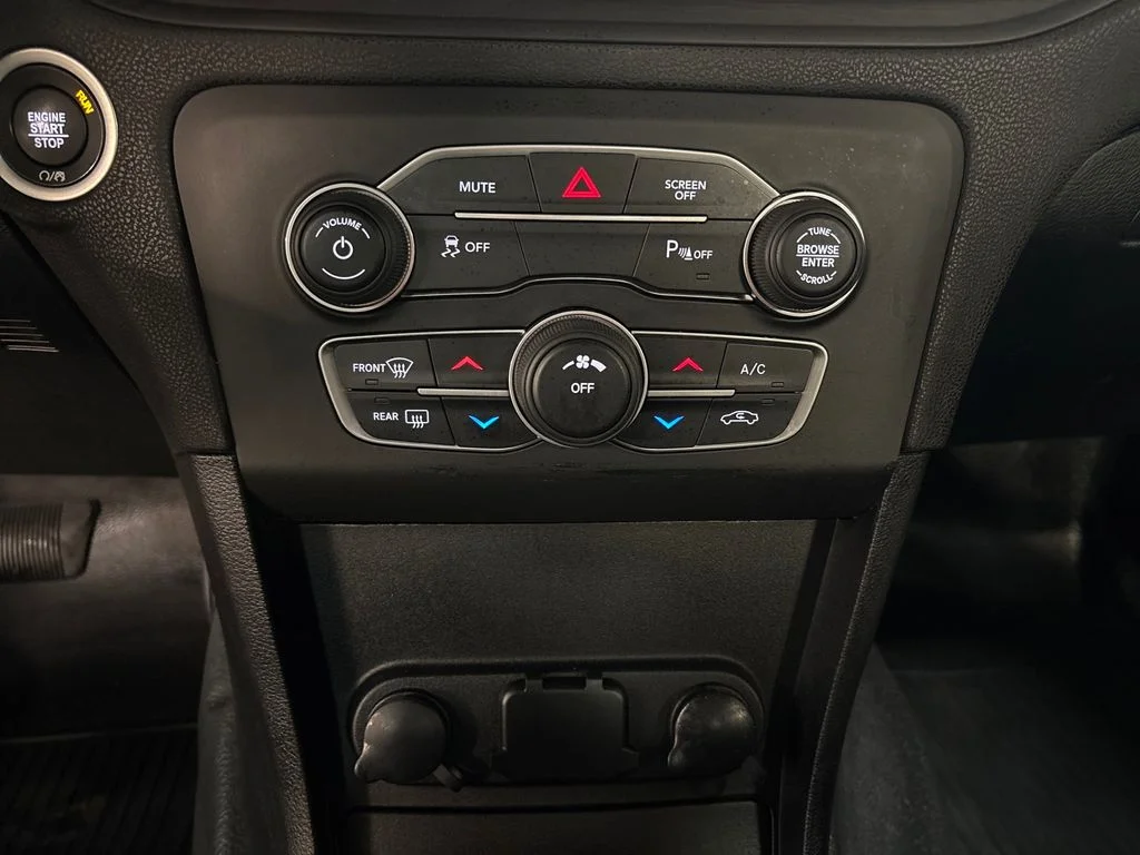 Used 2020 Gray Dodge Police image 19