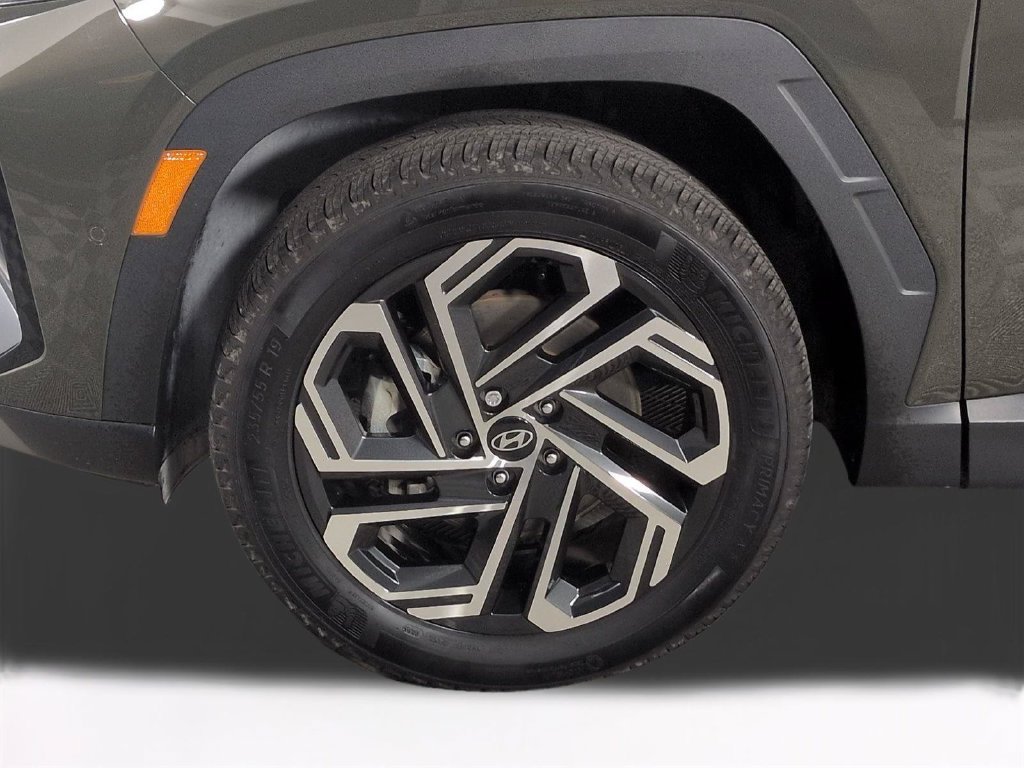 2025 Hyundai Tucson Limited - Photo 13