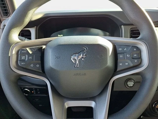 New 2026 Shadow Black Ford Base image 11