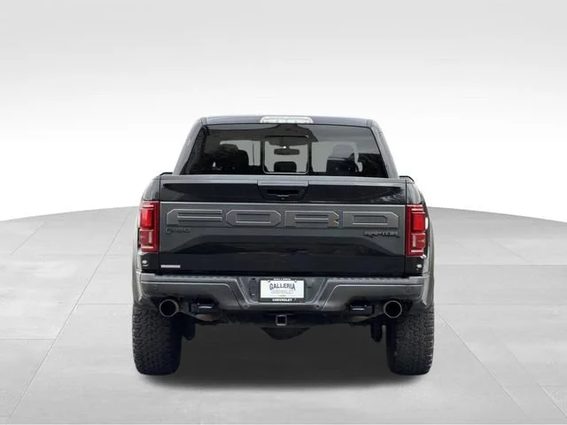 2019 Ford F-150 Raptor - Photo 6