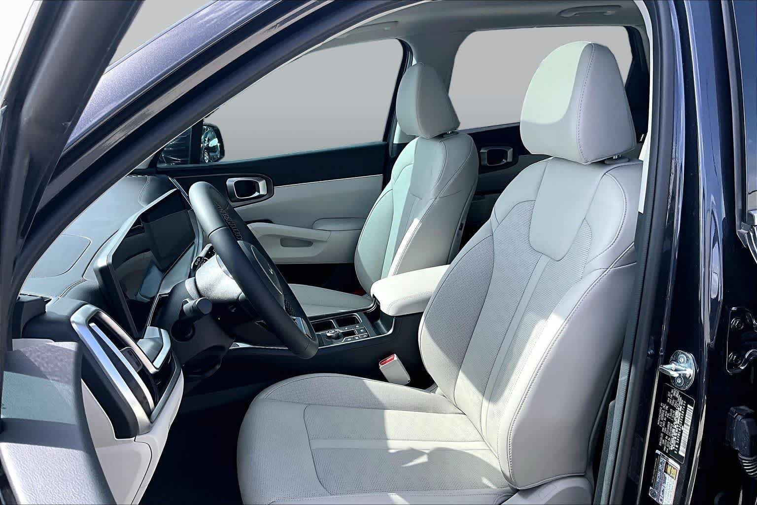 Used 2025 Panthera Metal Kia S image 8