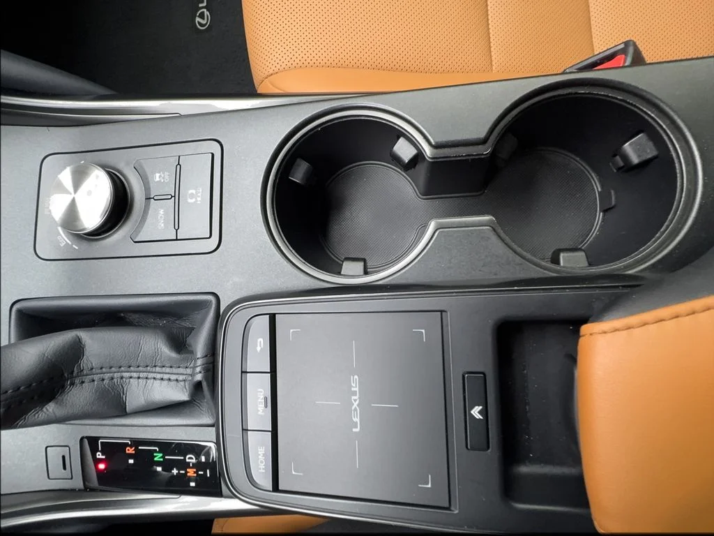 Used 2022 Red Lexus 300 image 41