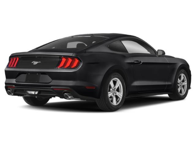 Used 2020 Shadow Black Ford EcoBoost image 2