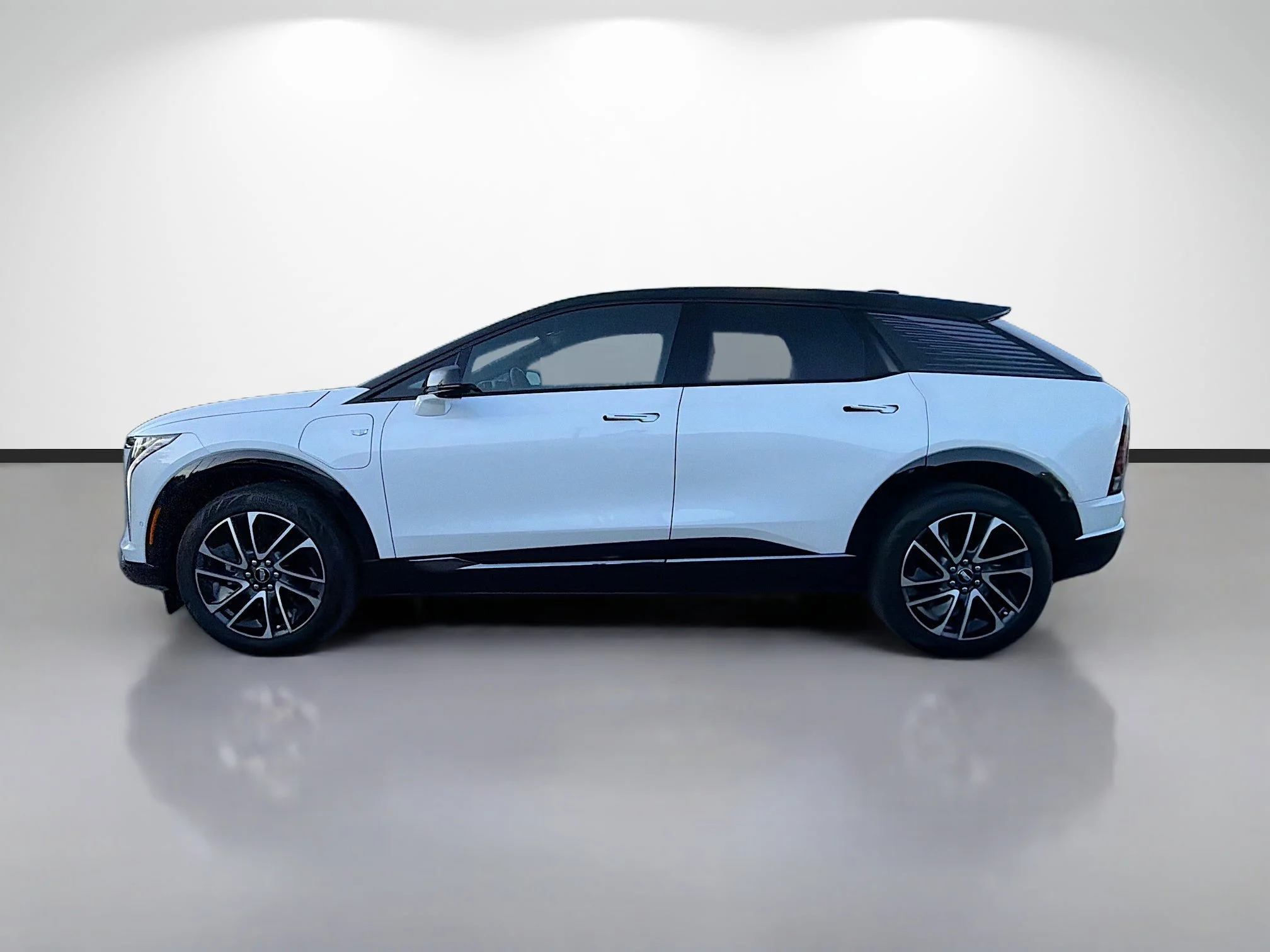 Used 2025 Cadillac OPTIQ Sport 1 with VIN 3GYK3EMR0SS194119 for sale in Tampa, FL