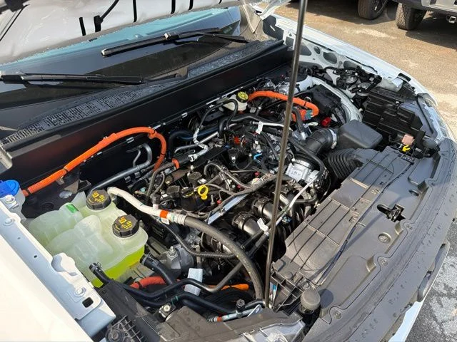 New 2026 Oxford White Ford XLT image 61