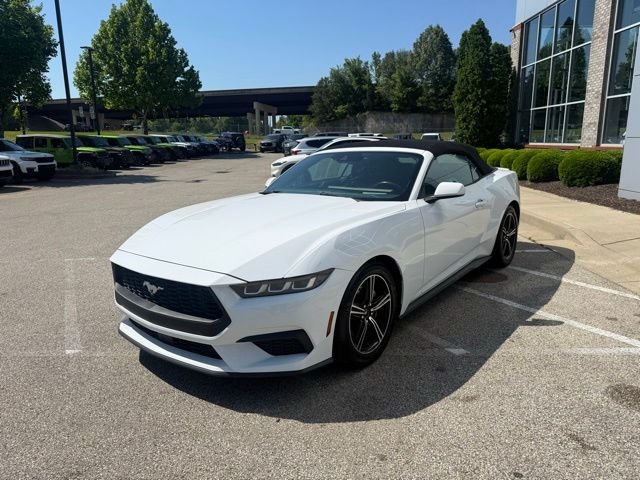 Used 2024 White Ford EcoBoost Premium image 2