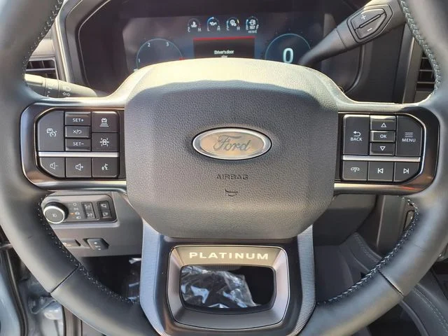 New 2026 Glacier Gray Metallic Tri-Coat Ford Platinum image 15