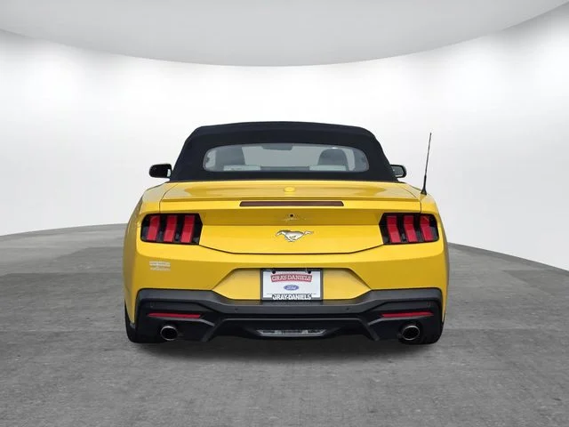 Certified Used 2024 Yellow Ford EcoBoost Premium image 6