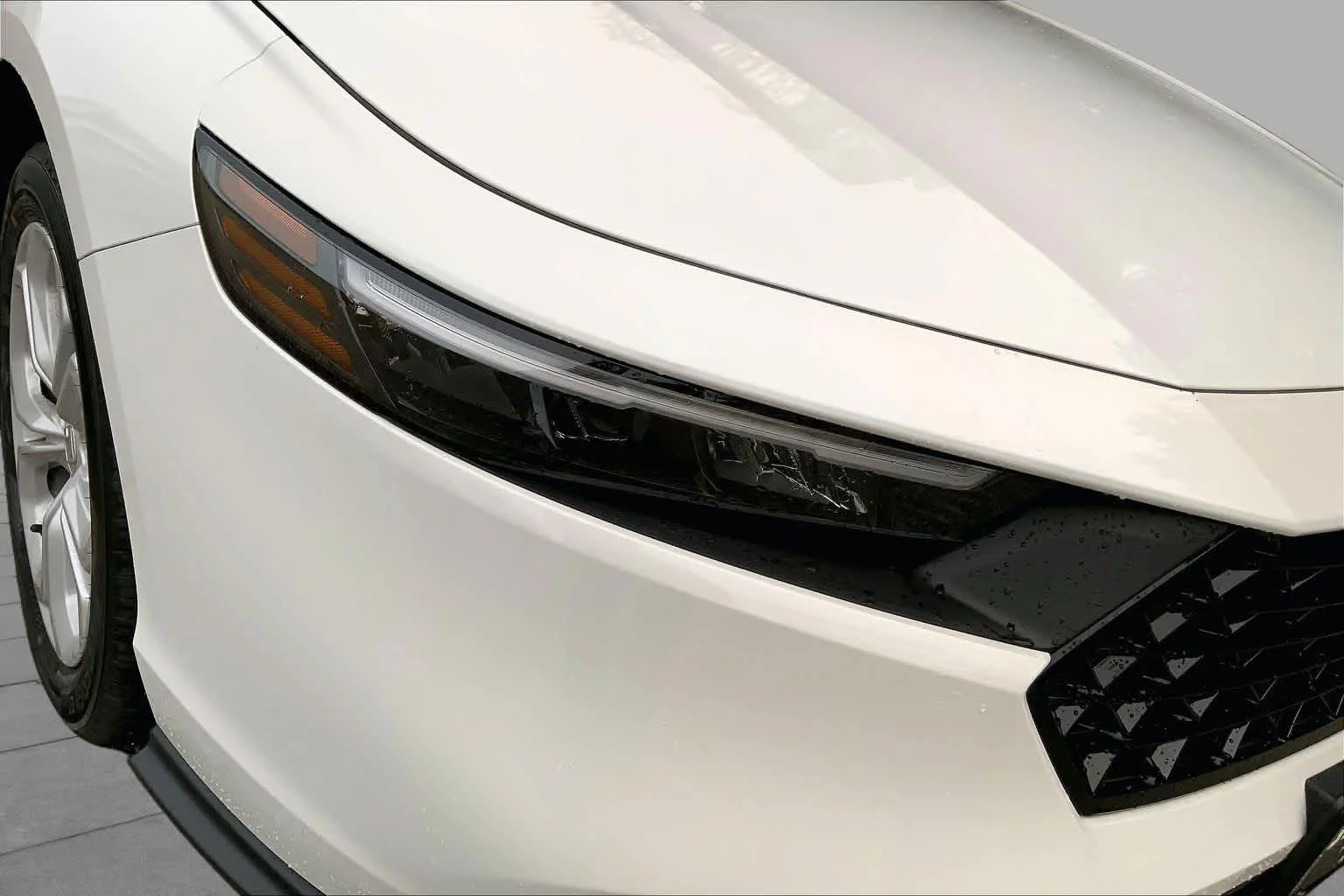 New 2026 Platinum White Pearl Honda LX image 16