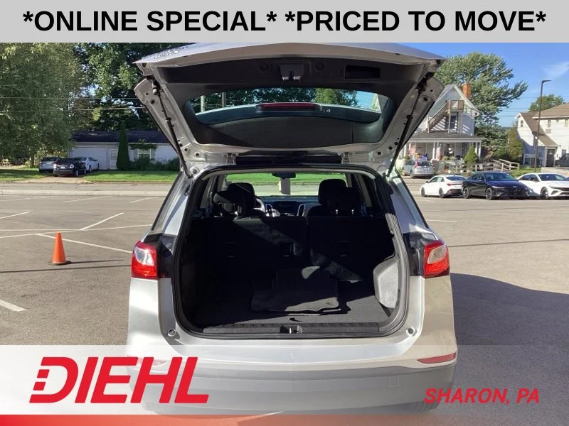 Used 2019 Silver Chevrolet LS image 15