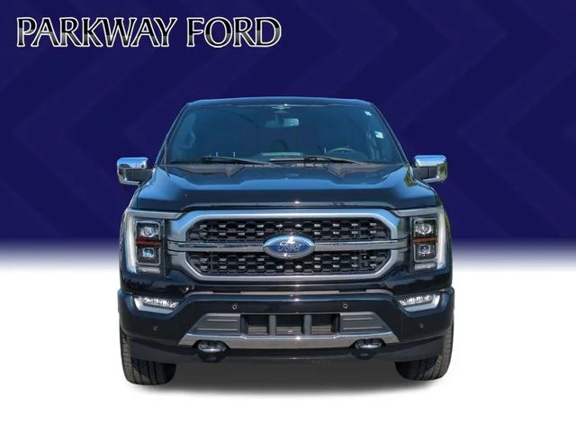 Used 2023 Black Ford Platinum image 8