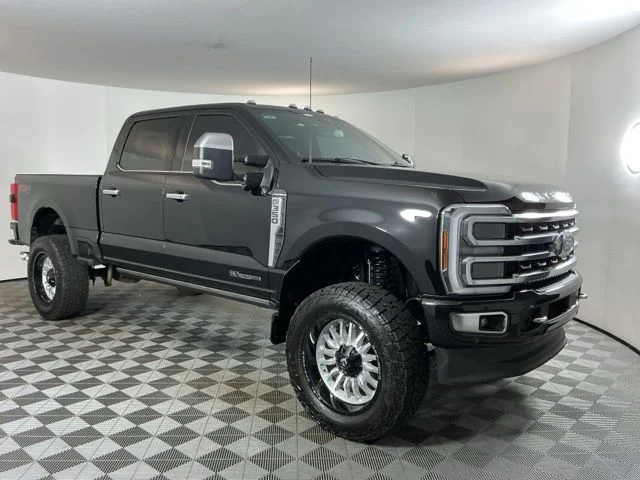 Used 2024  Ford Platinum image 3
