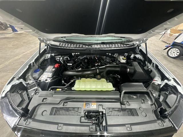 New 2027 White Ford Platinum image 22