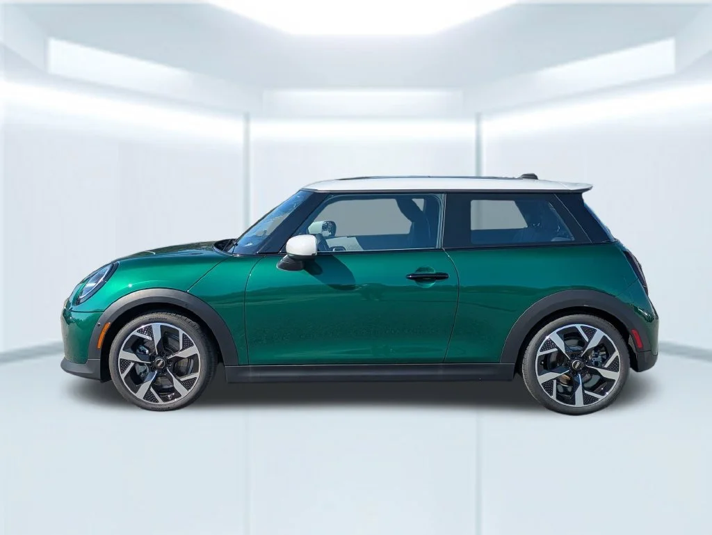 New 2026 Green MINI  image 2
