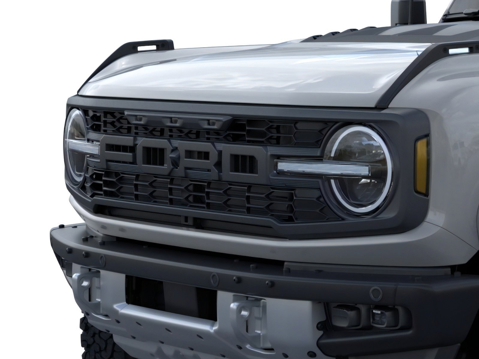 New 2026 Avalanche Gray Ford Raptor® image 19
