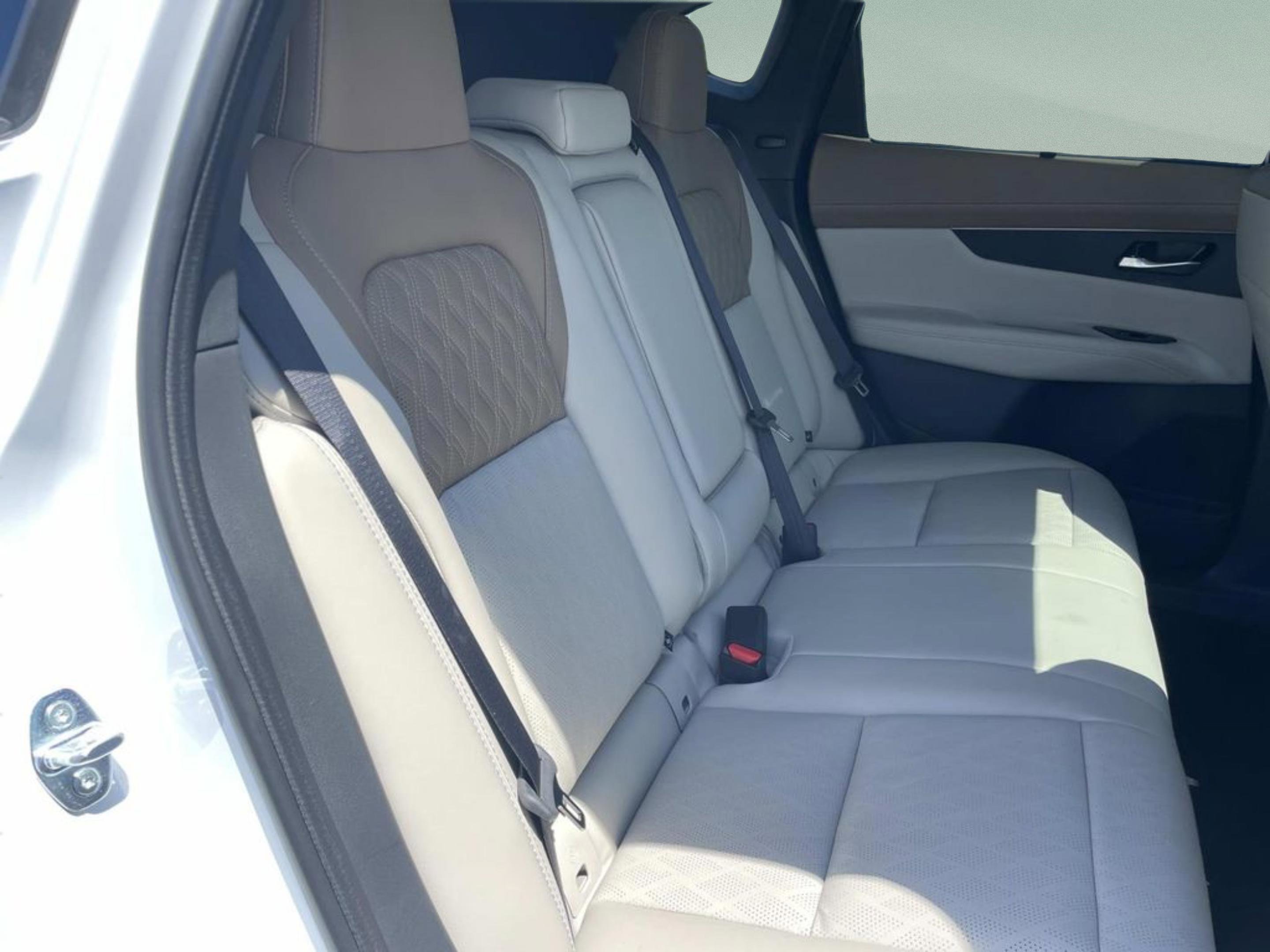 New 2026 Everest White Pearl TriCoat / Super Black Two-tone Nissan Platinum image 15
