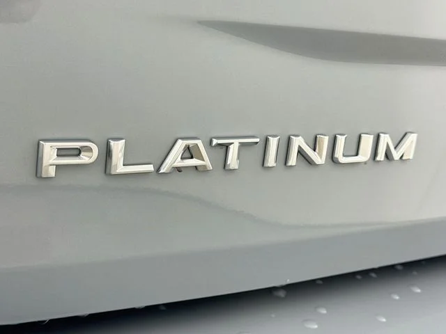 New 2027 Gray Ford Platinum image 28