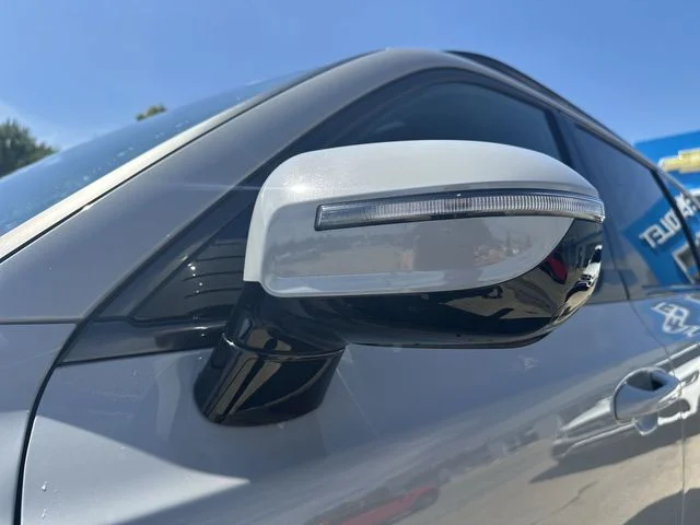 2025 Kia Telluride SX Prestige X-Pro - Photo 50