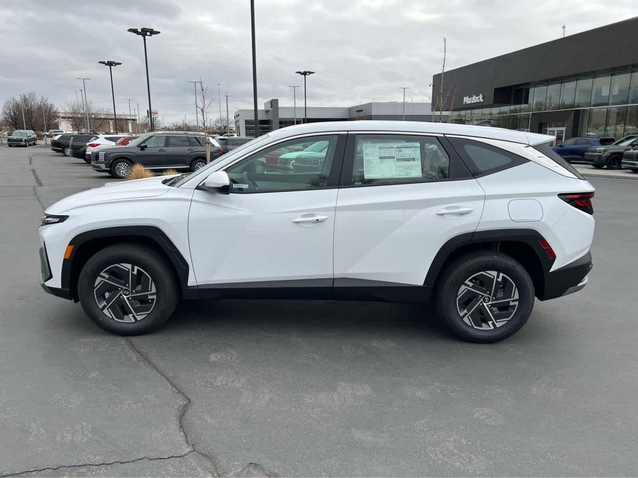 New 2026 Creamy White Pearl Hyundai Blue image 12