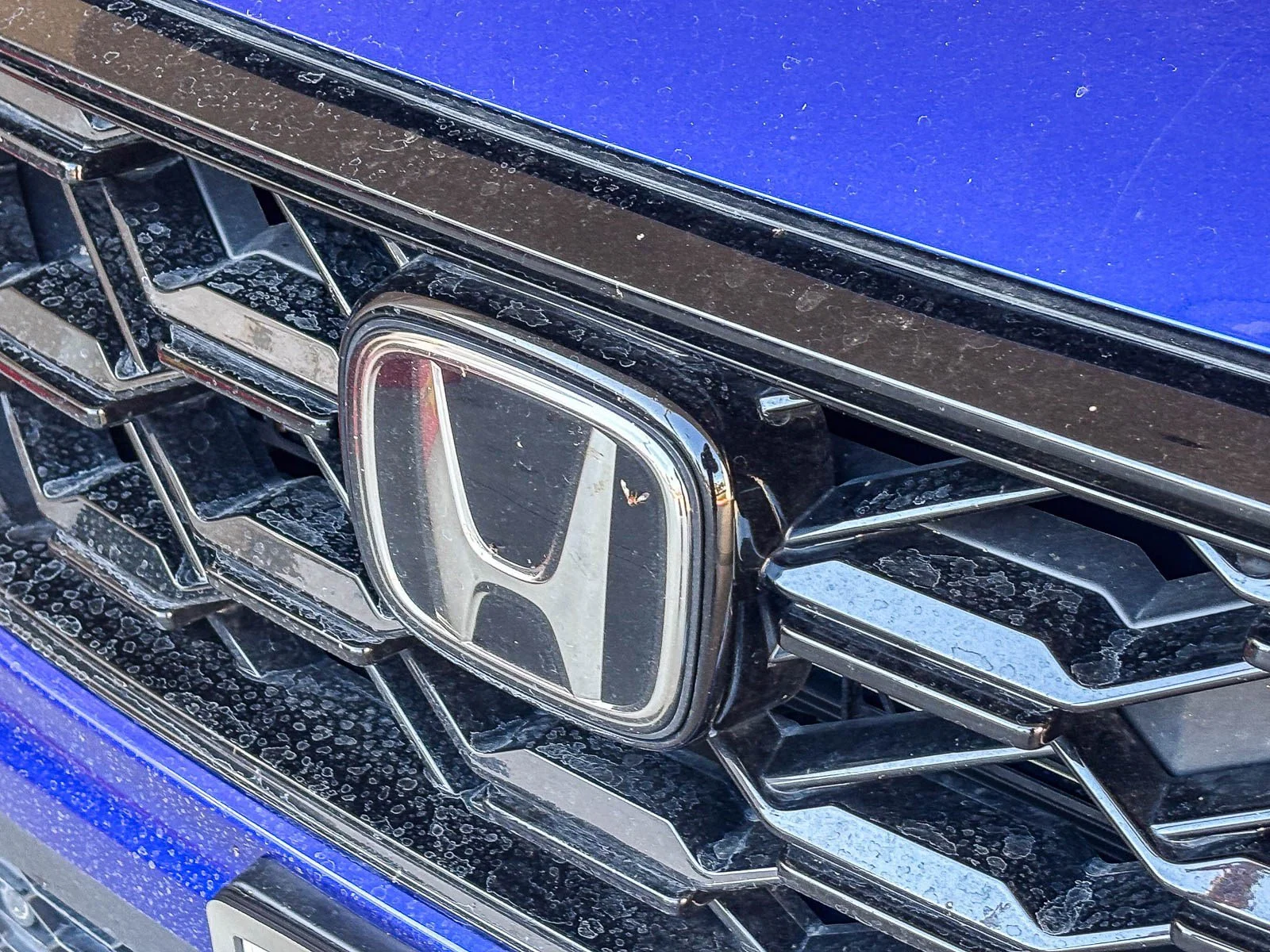 Used 2025 Canyon River Blue Metallic Honda Sport-L image 9
