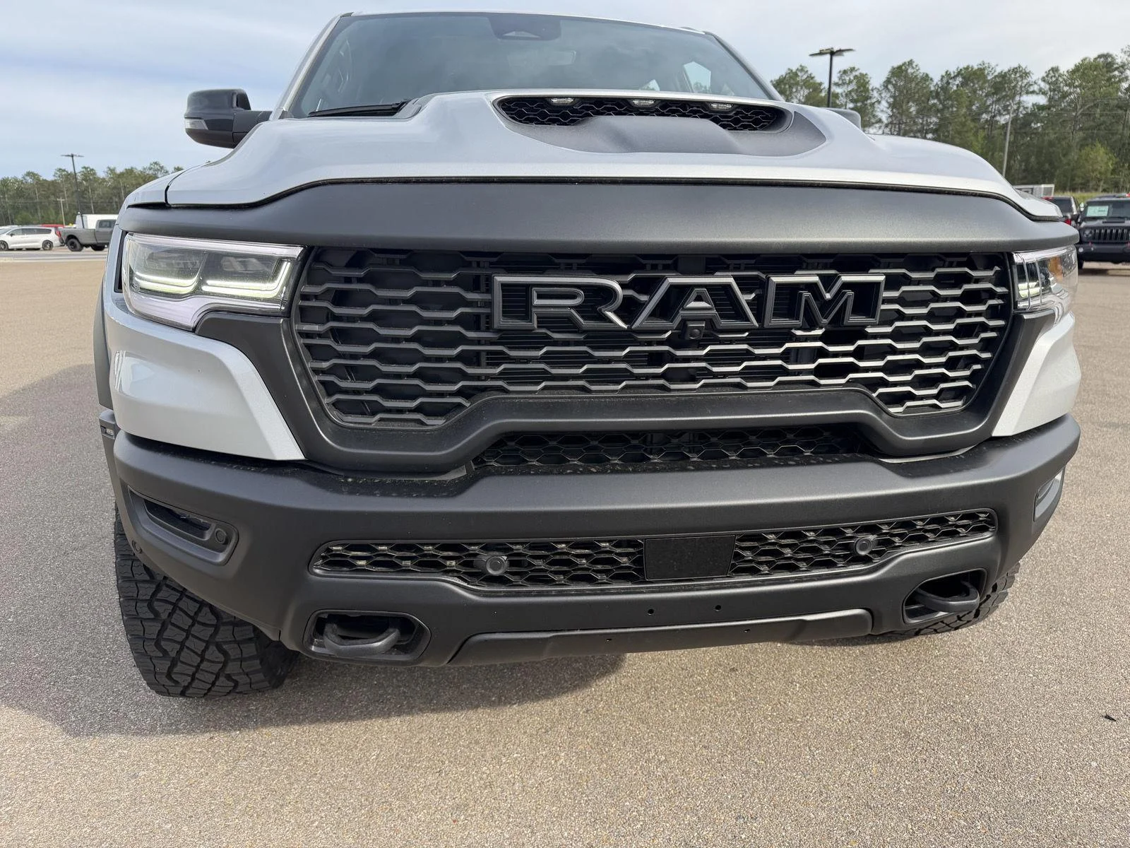 New 2026 Silver Zynith Exterior Paint RAM RHO image 24