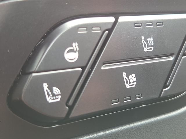 New 2027 Wolf Gray Kia X-LINE SX PRESTIGE image 13