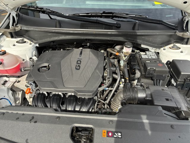 Used 2024 White Kia X-Line image 6