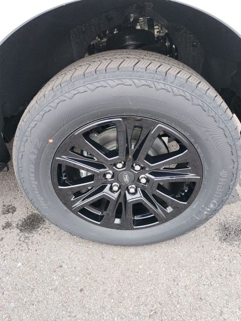2025 Ford F-150 Platinum - Photo 28