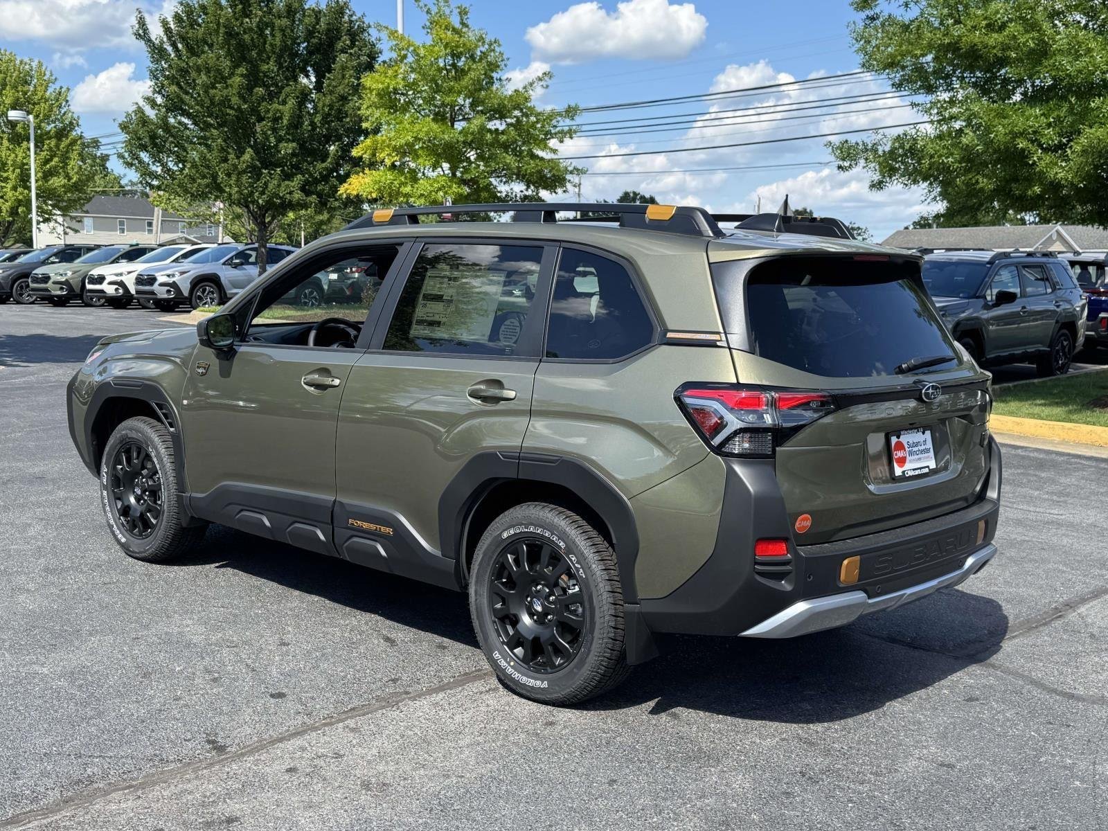 New 2026 AUTUMN GREEN METALLIC Subaru Wilderness image 4