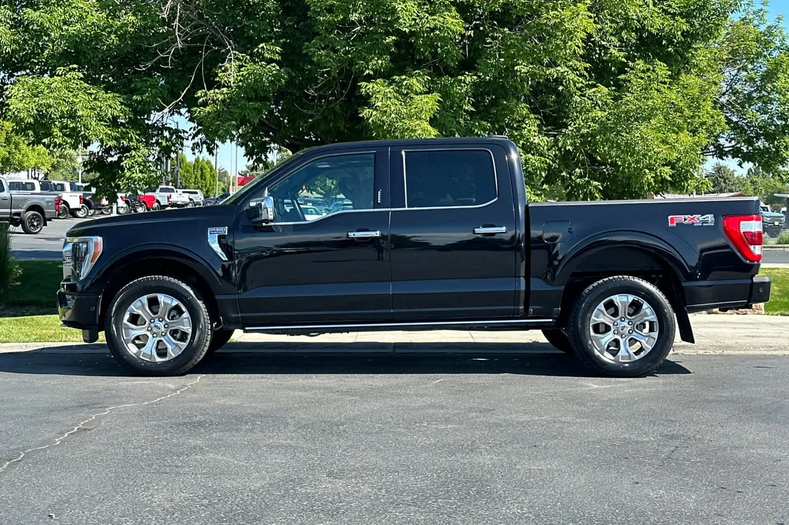 Certified Used 2023 Agate Black Metallic Ford Platinum image 5