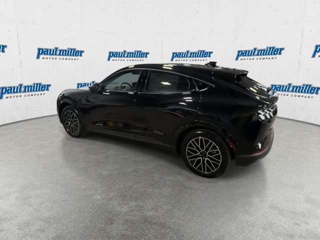New 2026 Shadow Black Ford Premium image 8