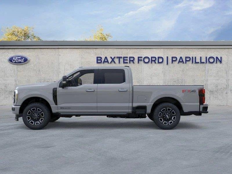 New 2026 Avalanche Gray Ford Platinum image 18
