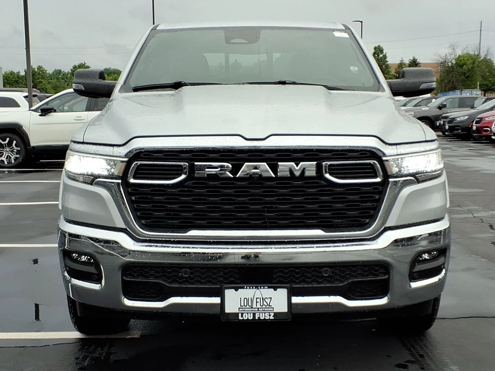New 2026 Silver Zynith Exterior Paint RAM Big Horn/Lone Star image 22