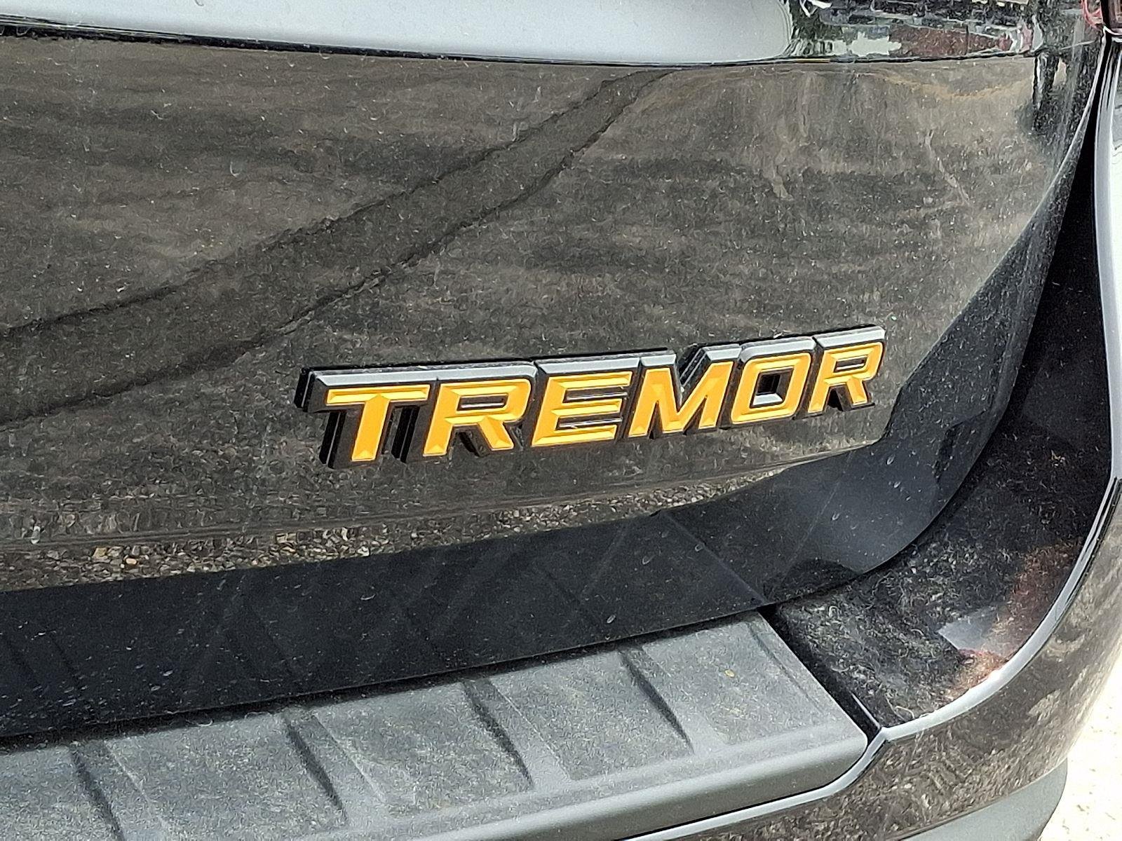 New 2026 Agate Black Metallic Ford Tremor® image 21