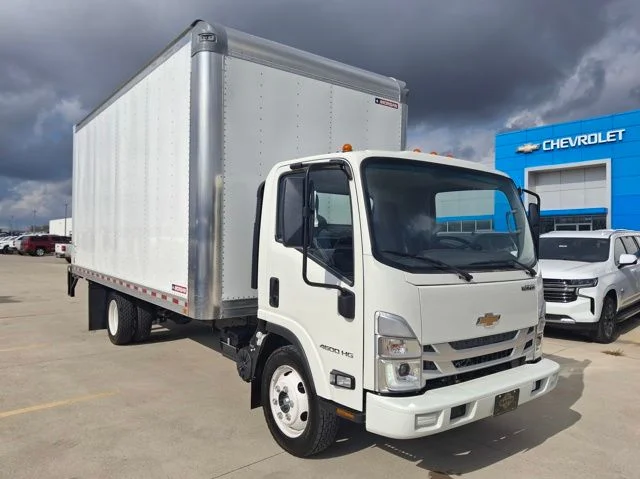 New 2025 White Chevrolet wt image 7
