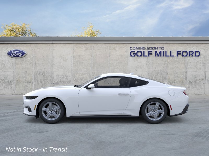 New 2026 Oxford White Ford EcoBoost image 3