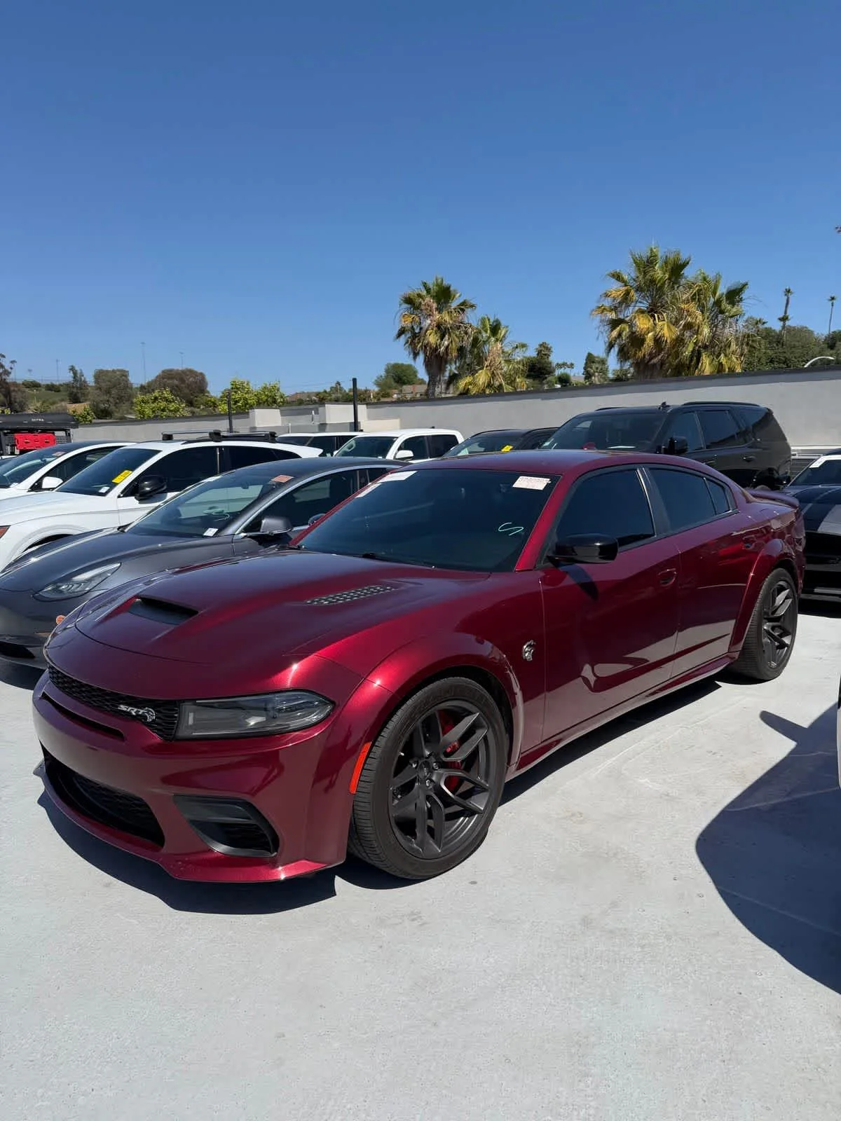 2023 Dodge Charger SRT Hellcat Widebody's photo