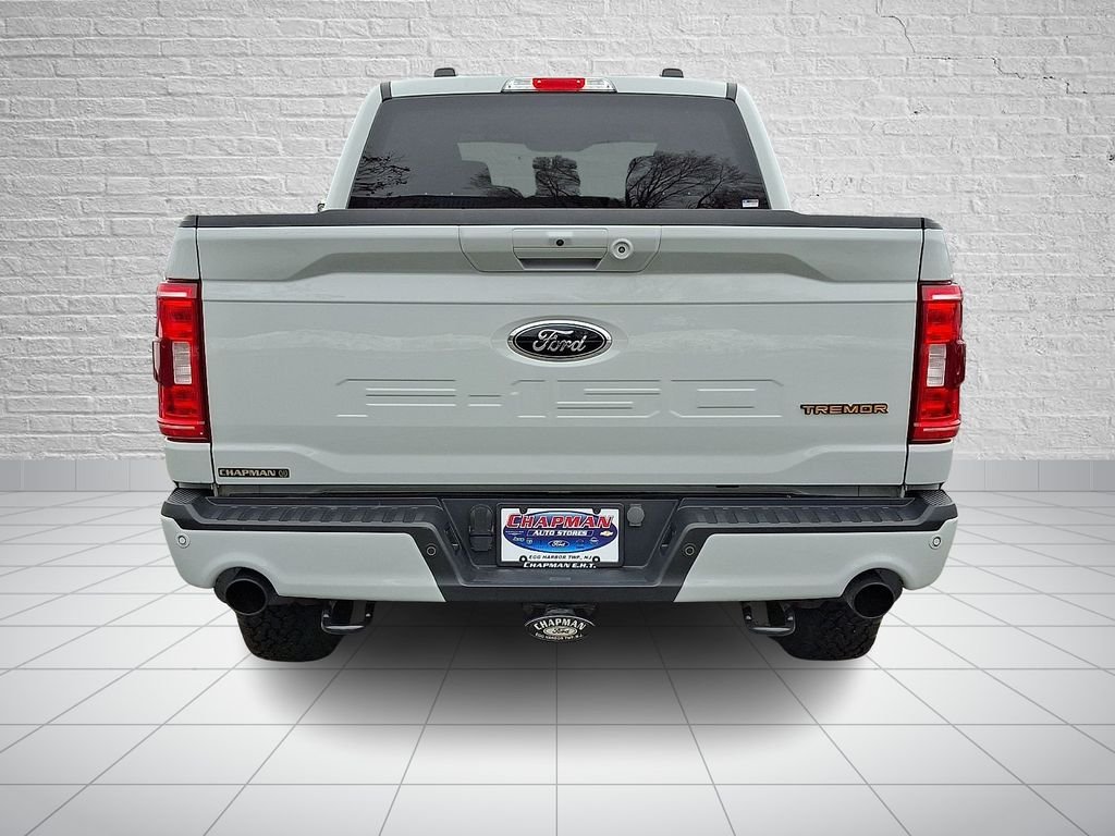 2023 Ford F-150 Tremor - Photo 6