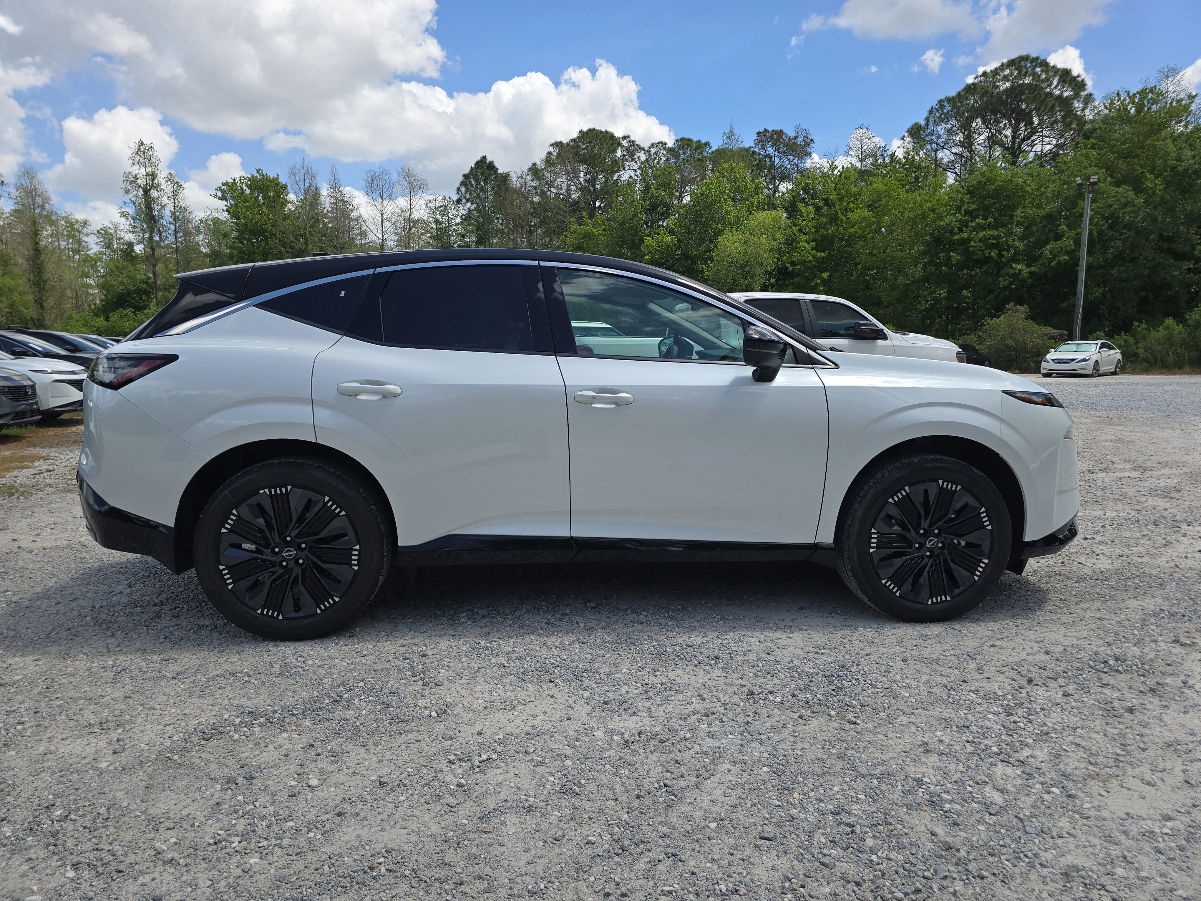 New 2026 Everest White Pearl TriCoat / Super Black Two-tone Nissan Platinum image 9