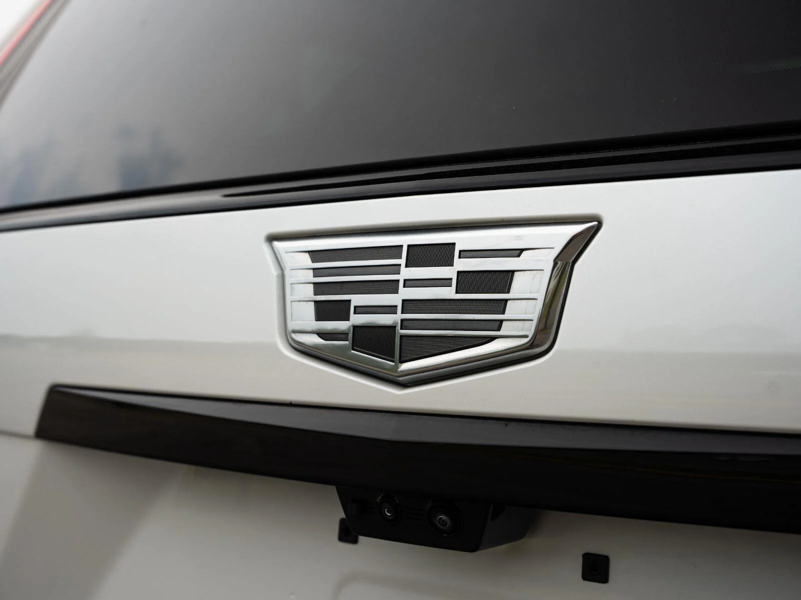 Used 2025 Crystal White Tricoat Cadillac Sport image 19